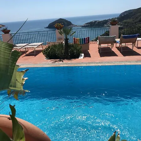 Apartment L' Ulivo Nunzia Barano d'Ischia